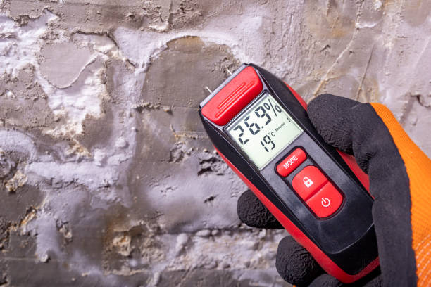 Best Mold Testing  in Youngsville, NC